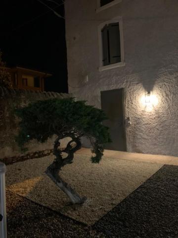 Magnolia Country House بيسكانتينا المظهر الخارجي الصورة