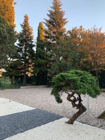 Magnolia Country House بيسكانتينا المظهر الخارجي الصورة